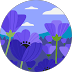 Alt Image