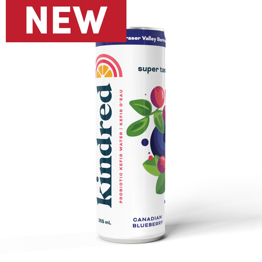 Kindred Cultures Local BC Blueberry Kefir Water